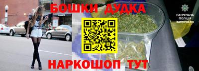 jwh Кинель