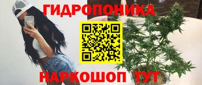 jwh Кинель