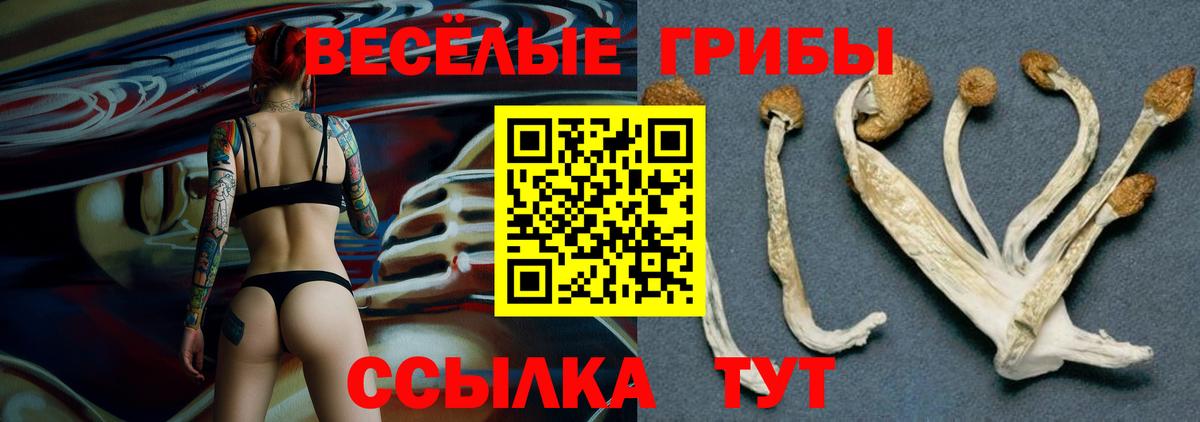 Галлюциногенные грибы мицелий  Вход с VPN  Псилоцибиновые грибы Magic Shrooms  наркотики  Красноуфимск 